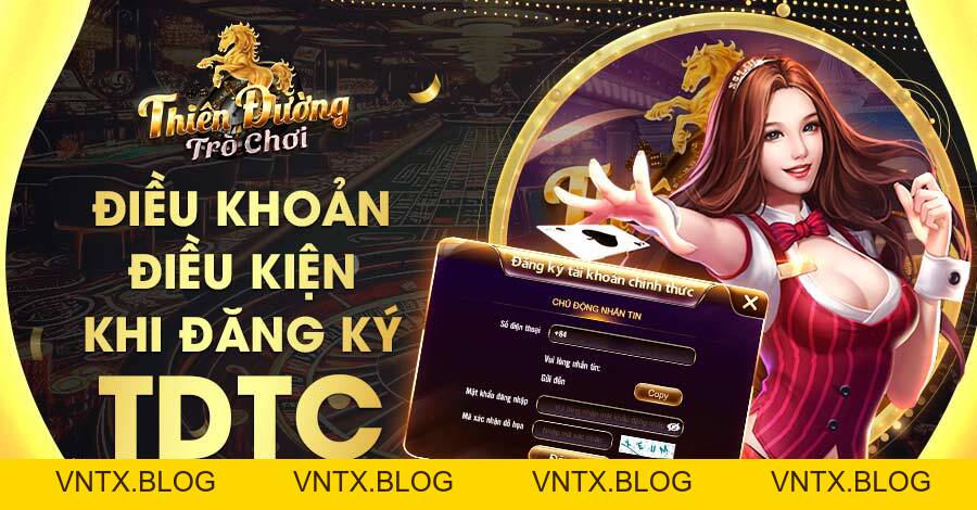 Điều Khoản Điều Kiện Tại TDTC - Quyền Lợi & Trách Nhiệm