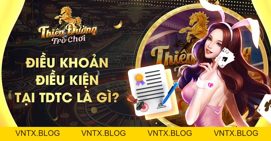 Điều Khoản Điều Kiện Tại TDTC - Quyền Lợi & Trách Nhiệm
