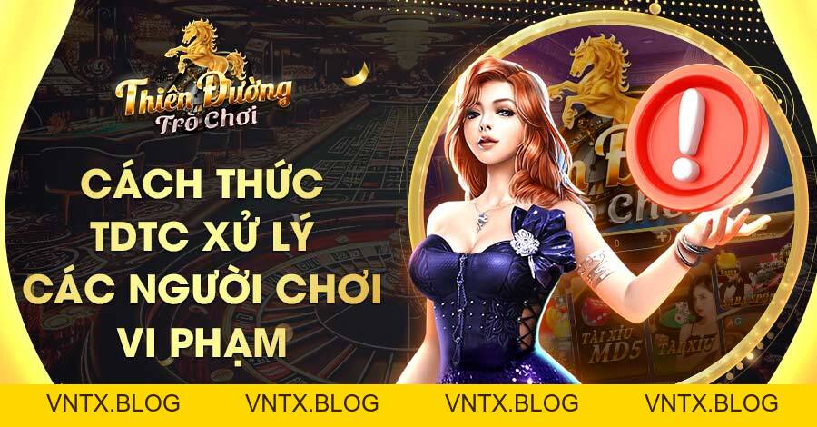 Điều Khoản Điều Kiện Tại TDTC - Quyền Lợi & Trách Nhiệm