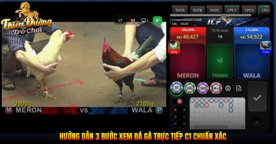 Trực Tiếp Đá Gà C1 Hôm Nay: Sôi Động Cùng Trận Đấu Đỉnh Cao