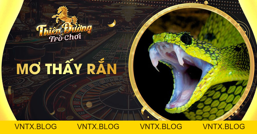 Giải nghĩa chi tiết giấc mơ thấy rắn và những bí ẩn phía sau