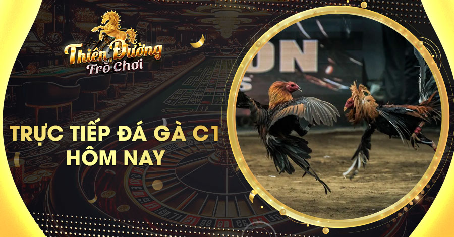 Trực Tiếp Đá Gà C1 Hôm Nay: Sôi Động Cùng Trận Đấu Đỉnh Cao