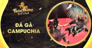 Hướng dẫn cách nhận mã code tân thủ TDTC thành công