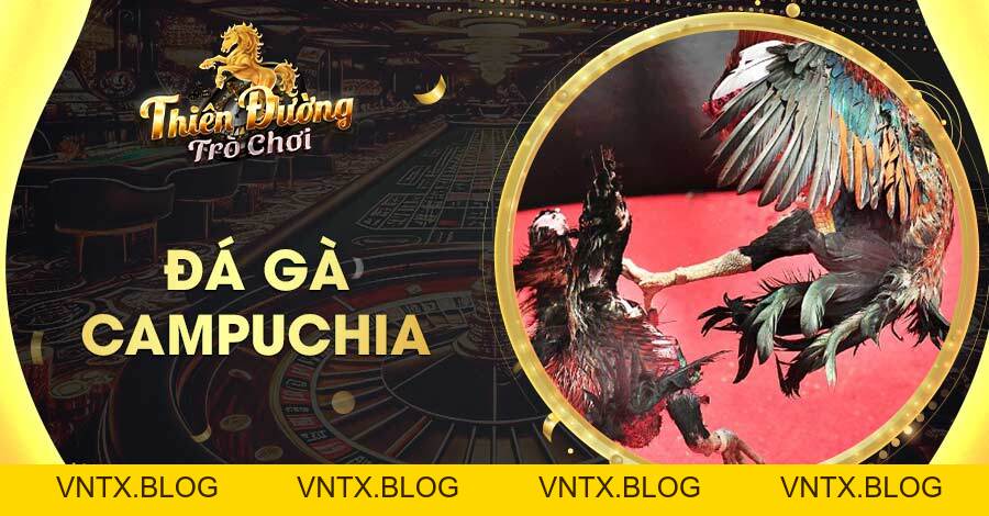 Game TDTC – Thiên trường cá cược với kho trò chơi đỉnh cao